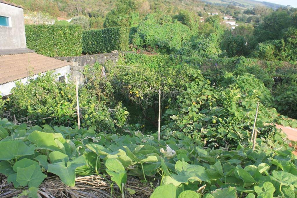 Apartamento Quinta Do Areeiro Horta  Exterior foto